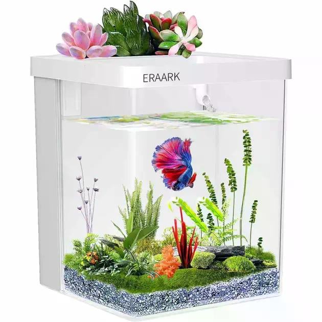 Eraark Intelligent Aquarium Mini Акваріумний набір