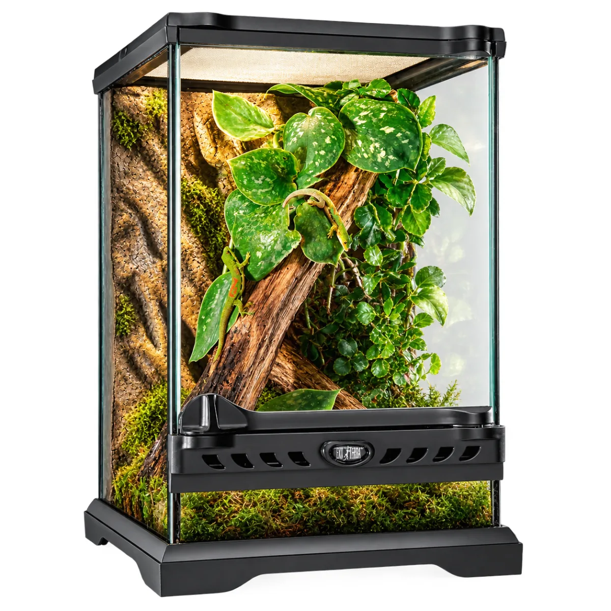 Скляний тераріум для утримання екзотичних тварин Exo Terra Natural Terrarium Nano, 20 × 20 × 30 см