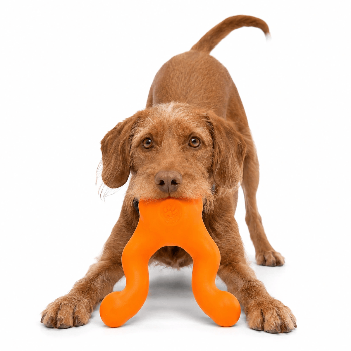 Іграшка для ласощів та перетягування для собак West Paw Tizzi Dog Toy Small