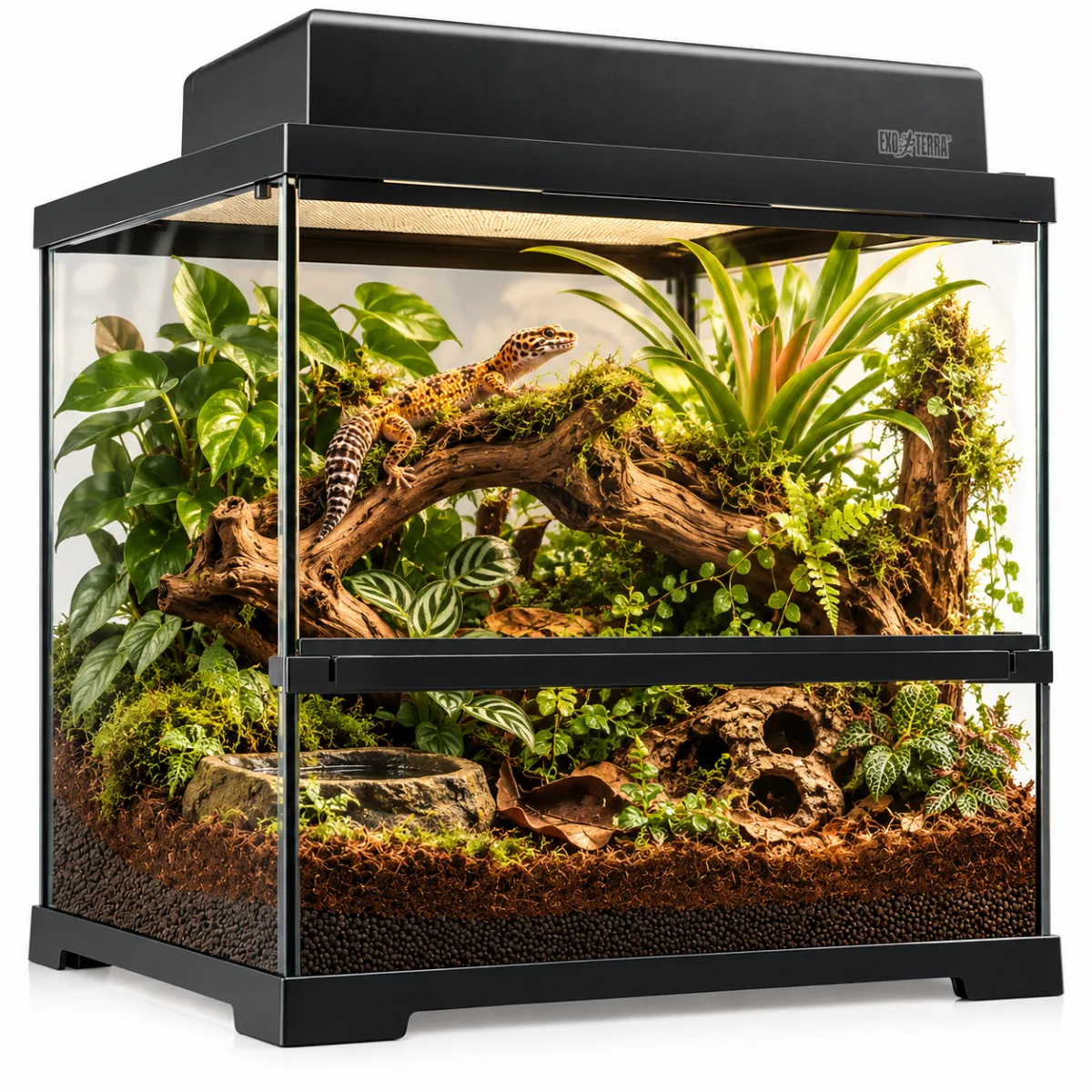 Скляний тераріум для рептилій, амфібій і безхребетних Exo Terra Pro Terrarium Small Wide, 45 × 45 × 45 см